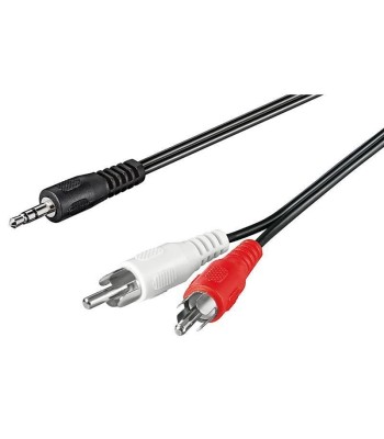 Cavo Stereo Jack 3,5 mm a 2 x RCA maschio 1,5 m