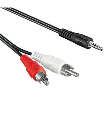 Cavo Stereo Jack 3,5 mm a 2 x RCA maschio 1,5 m