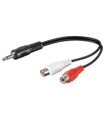 Cavo Audio Stereo  2 RCA femmina a Jack 3.5 mm maschio 1,5m