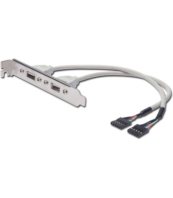 Cavetto Slot USB 2.0 2x 5pin