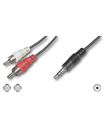 Cavo Stereo Jack 3, 5 mm a 2 x RCA maschio 3 mt