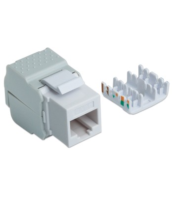 Frutto Keystone RJ45 UTP Cat6 Bianco