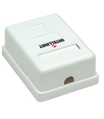 Presa a Muro con Frutto RJ45 Cat. 5E UTP Beige