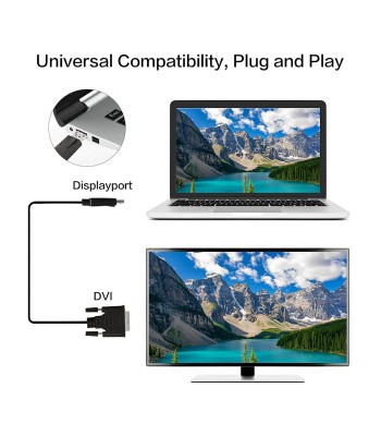 Cavo Monitor DisplayPort a DVI 2 m