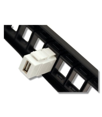 Adattatore USB A F/F Keystone